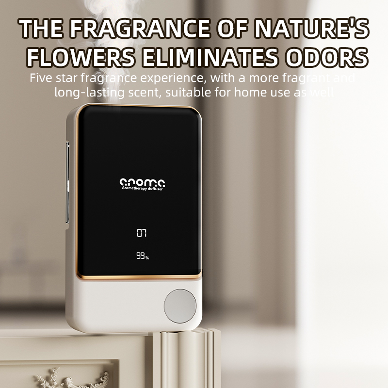 Aromatherapy diffuser fragranc - Home Fragrance Mist reseña y precio